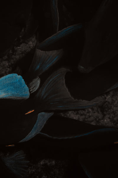 Detail of Blue Tang Highlights