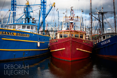 In Dock